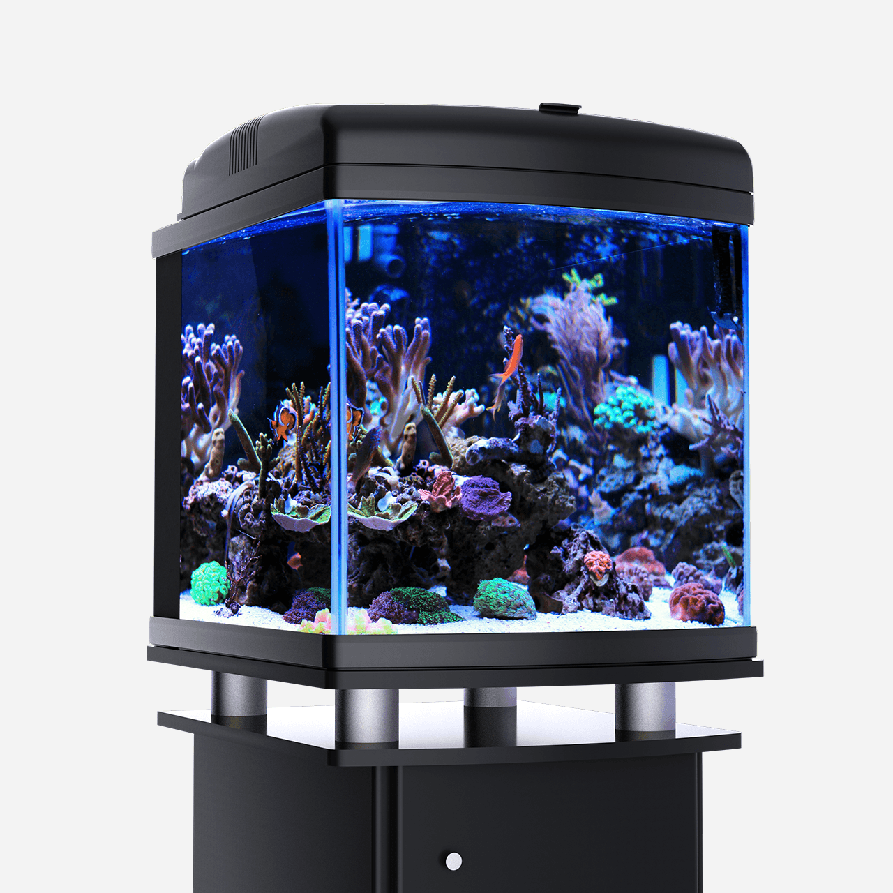 wavemaker for 10 gallon tank